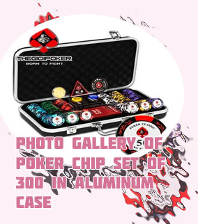 Pavilion 300 chip poker set